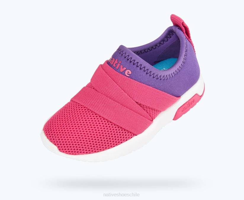 Native Shoes niños calzado estrella de mar violeta/rosa hollywood/blanco concha H2DZ202 fénix