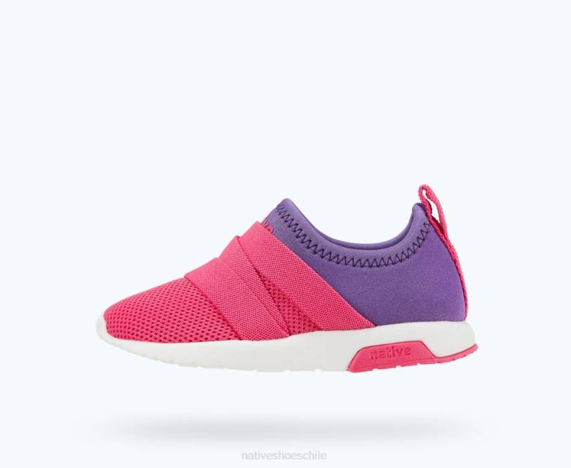 Native Shoes niños calzado estrella de mar violeta/rosa hollywood/blanco concha H2DZ202 fénix