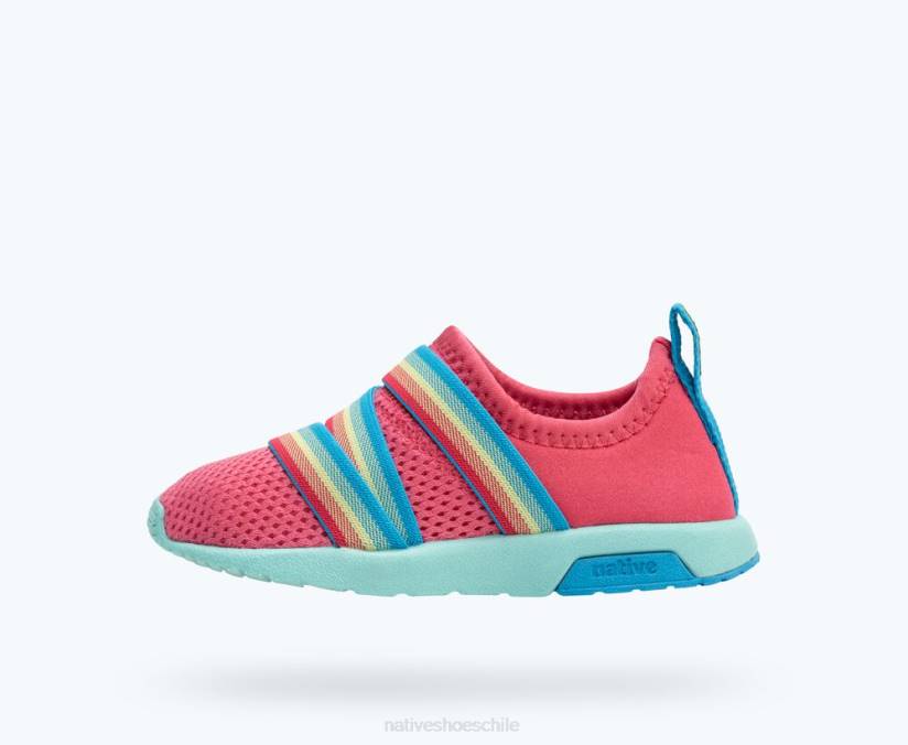 Native Shoes niños calzado rosa deslumbrante/azul hortensia/azul maría H2DZ193 azúcar fénix