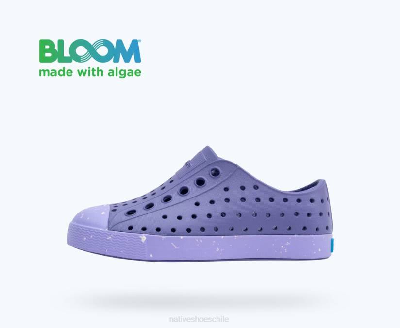 Native Shoes niños calzado violeta neblina/morado curativo/motas de concha H2DZ194 flor de jefferson